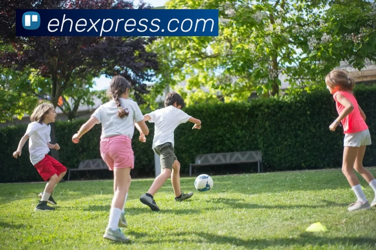 多媒体互动体验